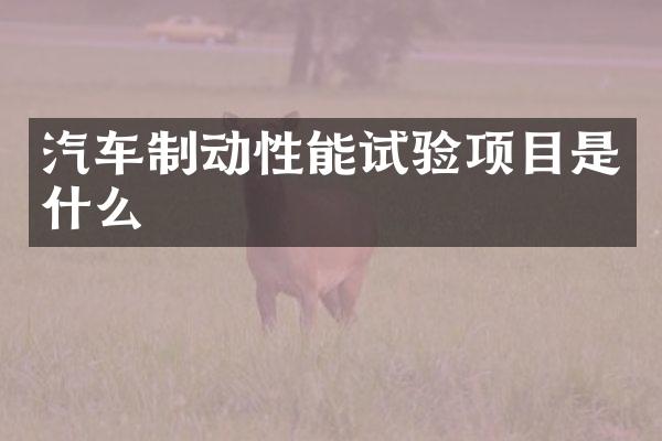 汽车制动性能试验项目是什么