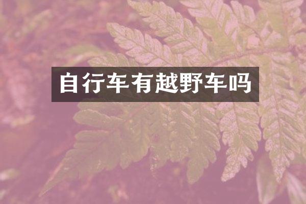 自行车有越野车吗