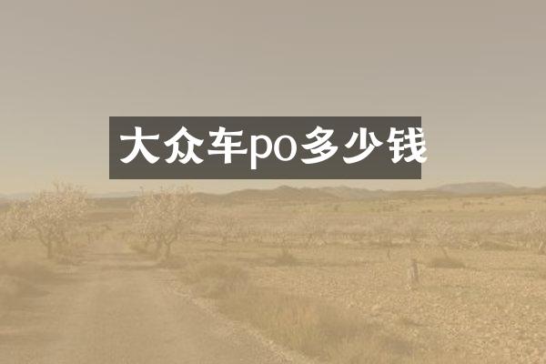 大众车po多少钱