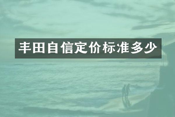 丰田自信定价标准多少