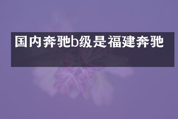 国内奔驰b级是福建奔驰吗
