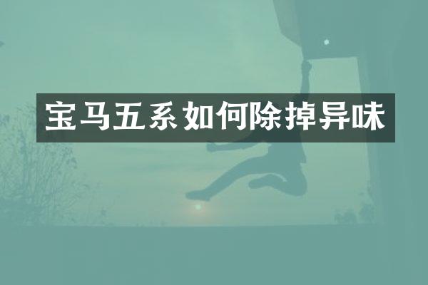 宝马五系如何除掉异味