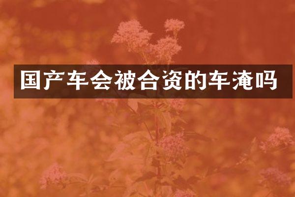 国产车会被合资的车淹吗