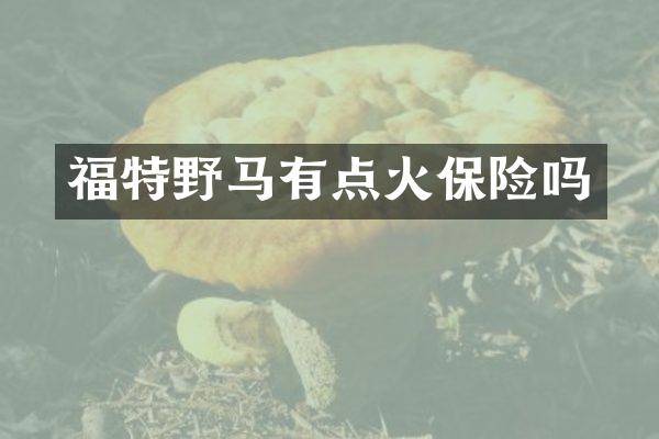 福特野马有点火保险吗