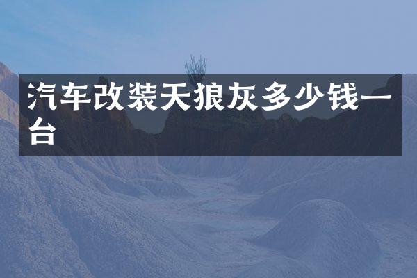 汽车改装天狼灰多少钱一台