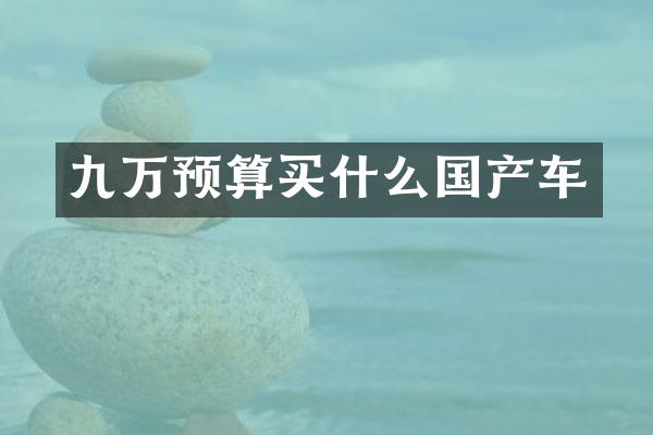 九万预算国产车