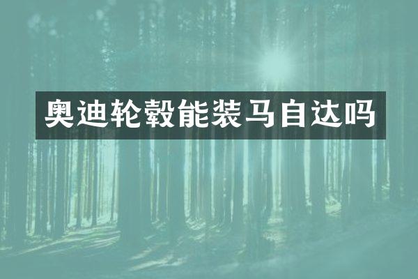 奥迪轮毂能装马自达吗