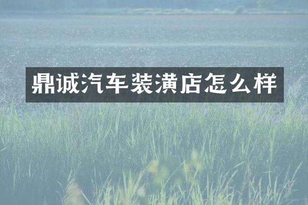鼎诚汽车装潢店怎么样