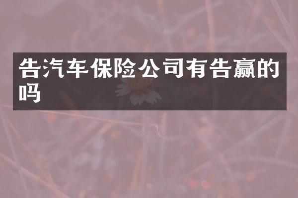 告汽车保险公司有告赢的吗
