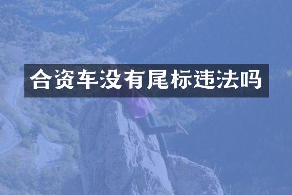 合资车没有尾标违法吗