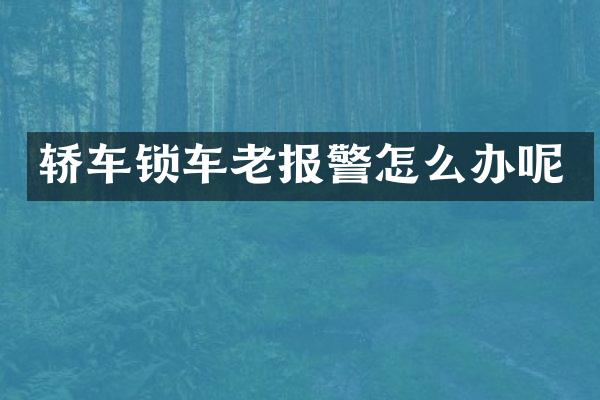 轿车锁车老报警怎么办呢
