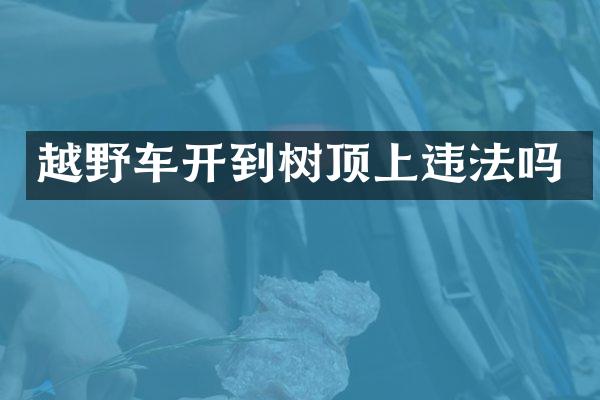 越野车开到树顶上违法吗