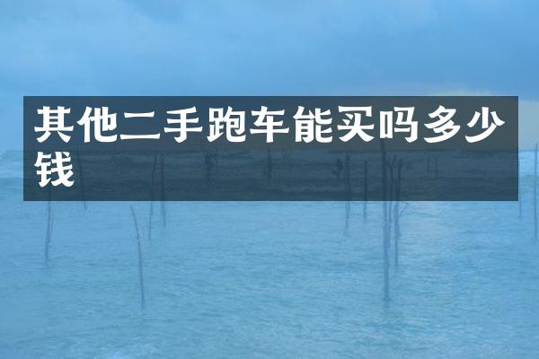 其他二手跑车能买吗多少钱