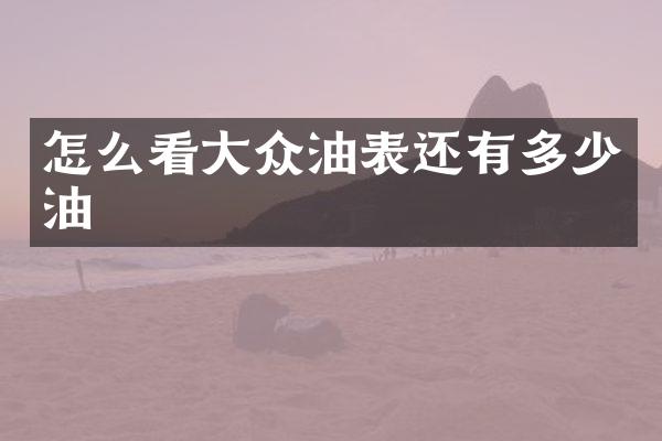 怎么看大众油表还有多少油