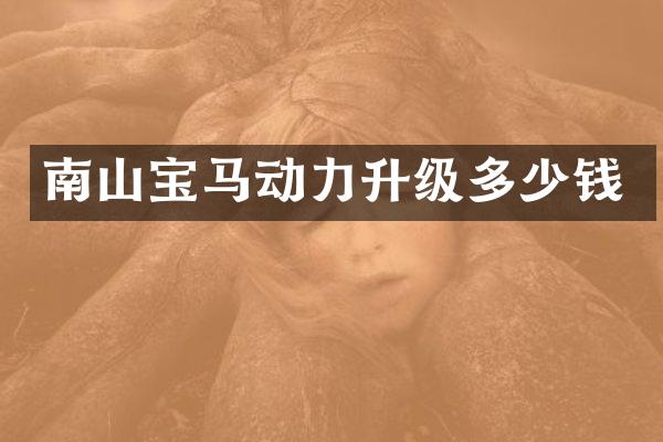 南山宝马动力升级多少钱