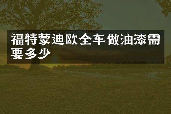 福特蒙迪欧全车做油漆需要多少