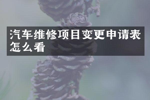 汽车维修项目变更申请表怎么看
