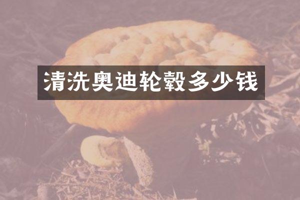 清洗奥迪轮毂多少钱
