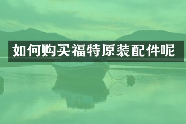 如何购买福特原装配件呢