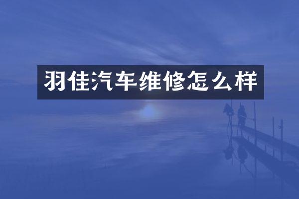 羽佳汽车维修怎么样