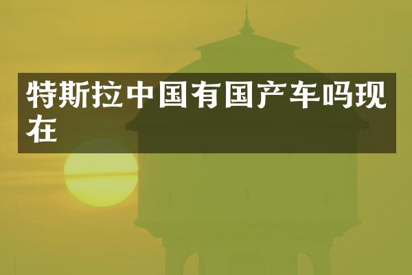 特斯拉中国有国产车吗现在