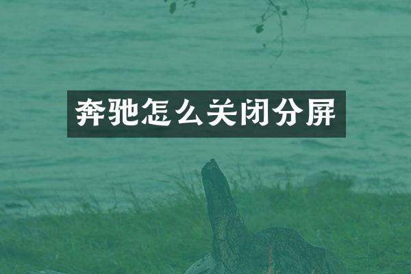 奔驰怎么关闭分屏