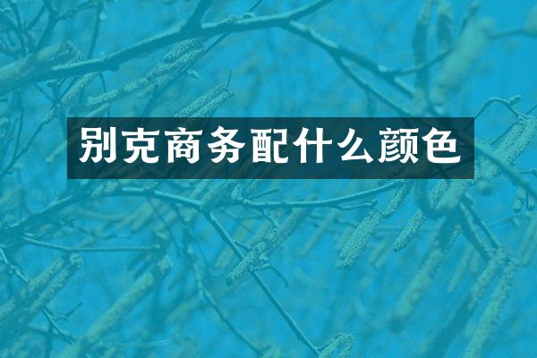 别克商务颜色