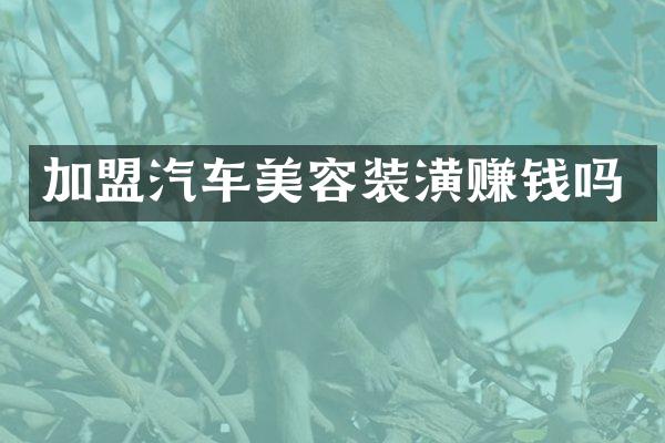 加盟汽车美容装潢赚钱吗