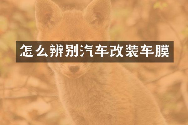 怎么辨别汽车改装车膜