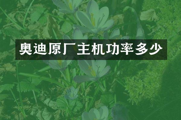 奥迪原厂主机功率多少