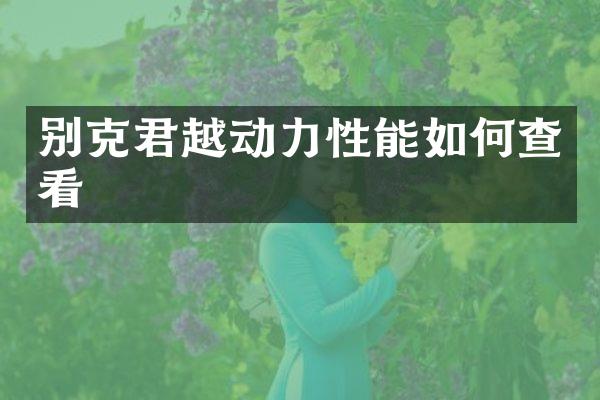 别克君越动力性能如何查看