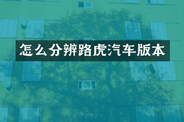 怎么分辨路虎汽车版本