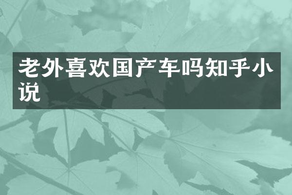 老外喜欢国产车吗知乎小说