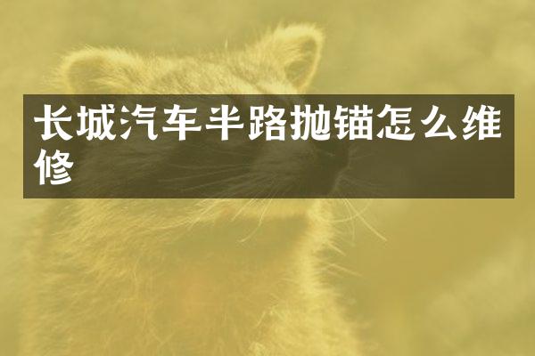 长城汽车半路抛锚怎么维修