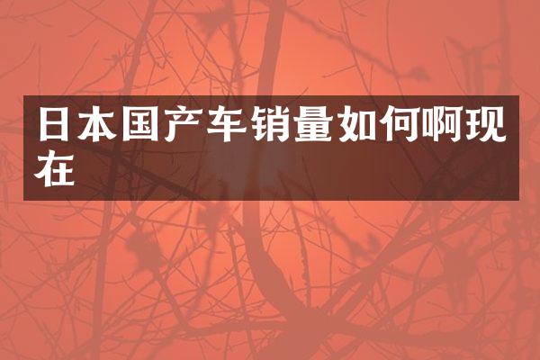 日本国产车销量如何啊现在