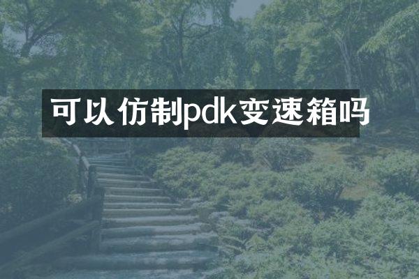 可以仿制pdk变速箱吗