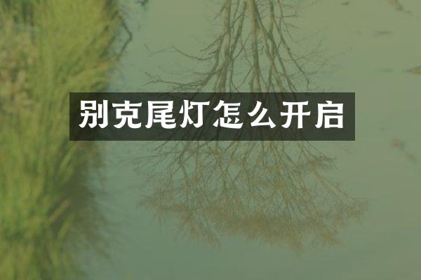别克尾灯怎么开启
