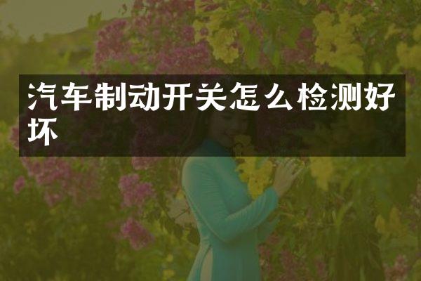 汽车制动开关怎么检测好坏