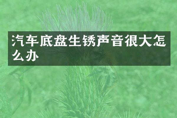 汽车底盘生锈声音很大怎么办