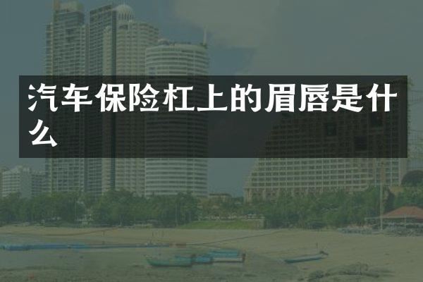 汽车保险杠上的眉唇是什么