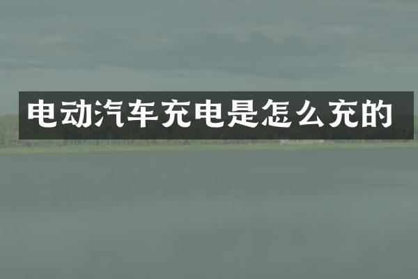 电动汽车充电是怎么充的