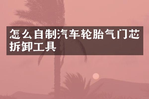 怎么自制汽车轮胎气门芯拆卸工具