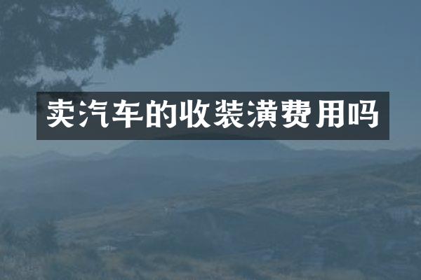 卖汽车的收装潢费用吗
