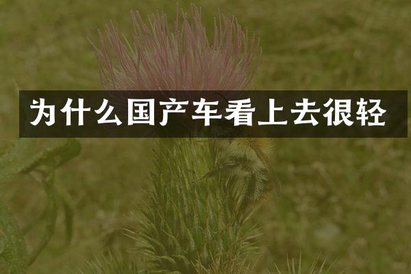 为什么国产车看上去很轻