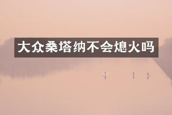 大众桑塔纳不会熄火吗