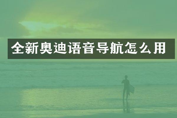 全新奥迪语音导航怎么用