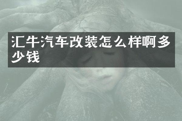 汇牛汽车改装怎么样啊多少钱