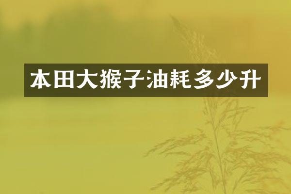 本田大猴子油耗多少升