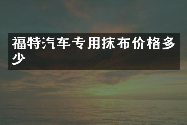 福特汽车专用抹布价格多少
