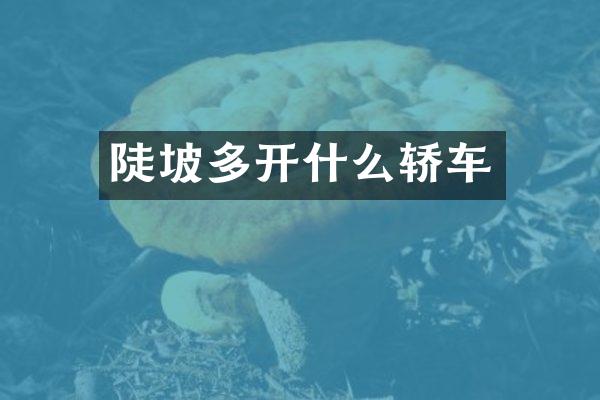 陡坡多开什么轿车